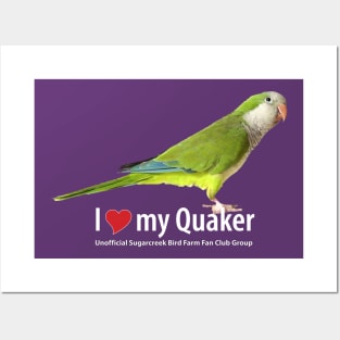 Quaker parrot Posters and Art